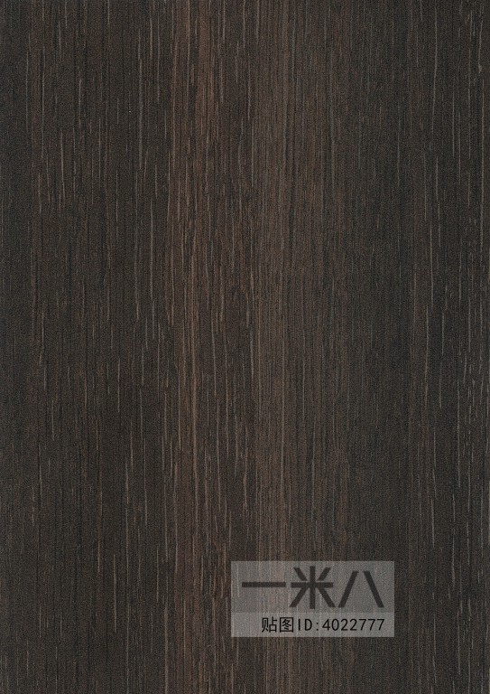 Wood Texture