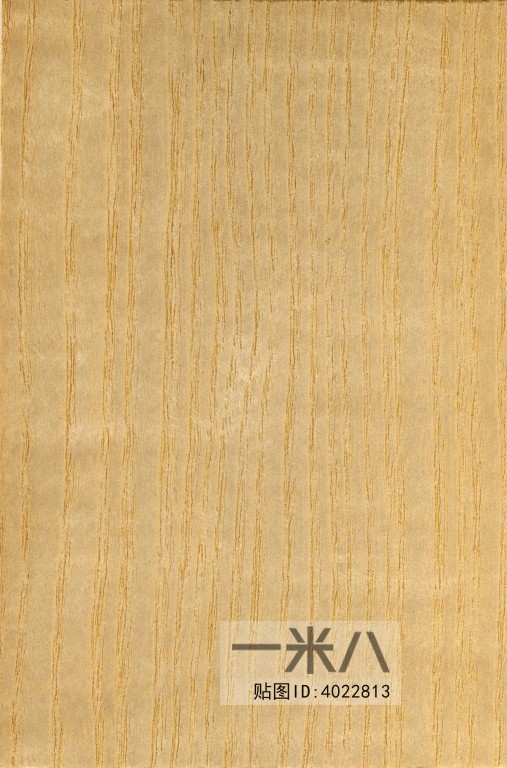 Wood Texture