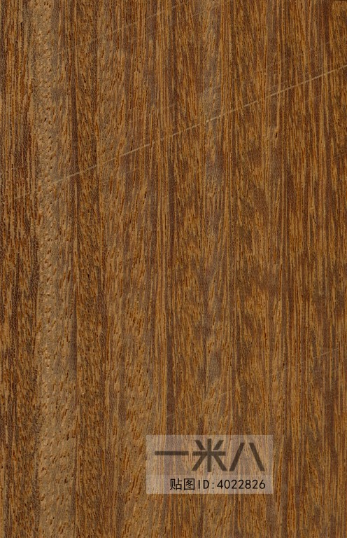 Wood Texture