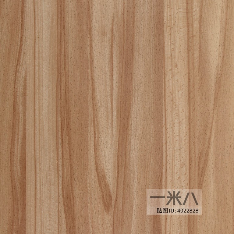 Wood Texture