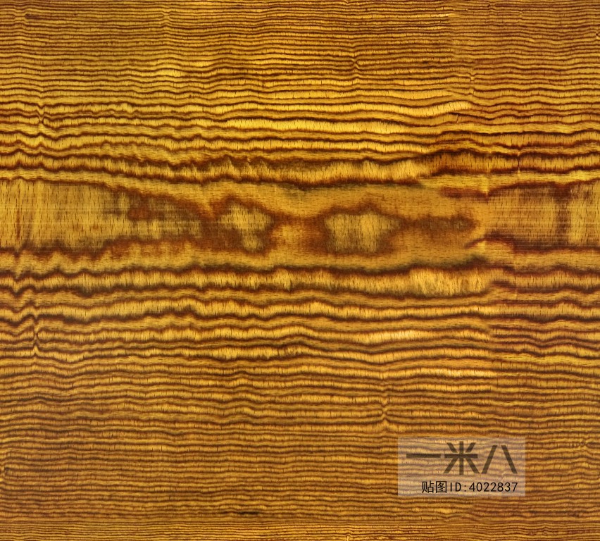 Wood Texture