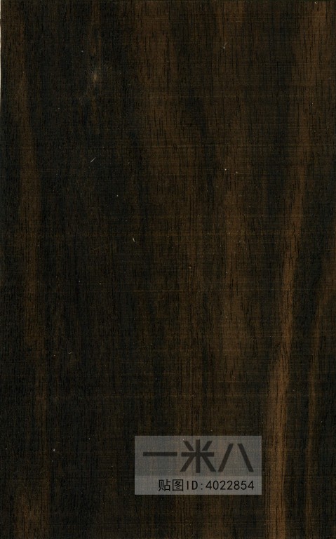 Wood Texture