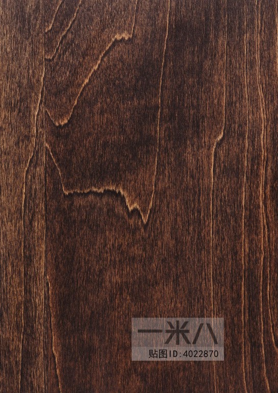 Wood Texture