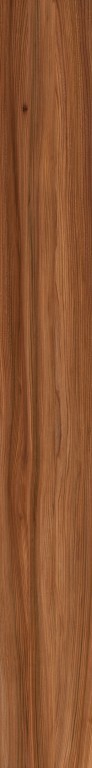 Wood Texture