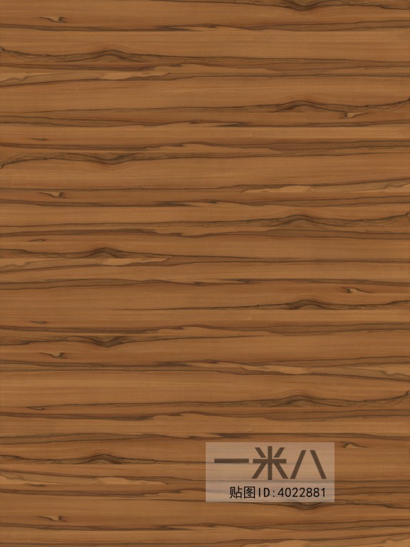 Wood Texture