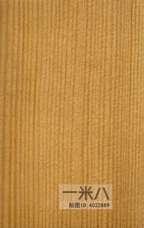 Wood Texture