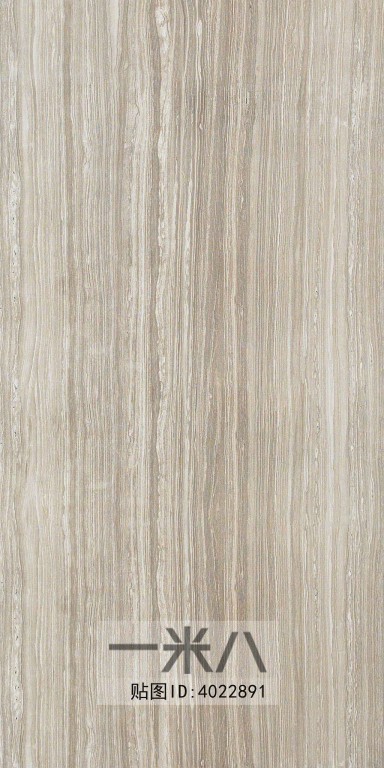 Wood Texture