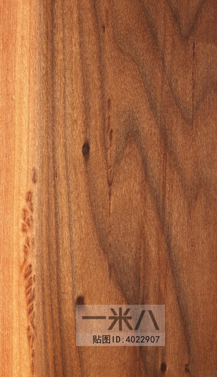 Wood Texture