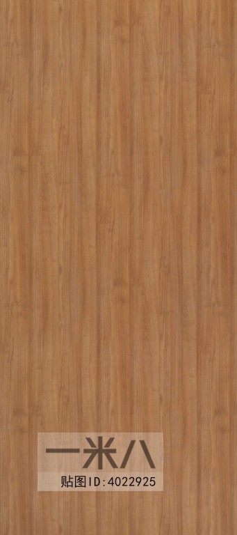 Wood Texture