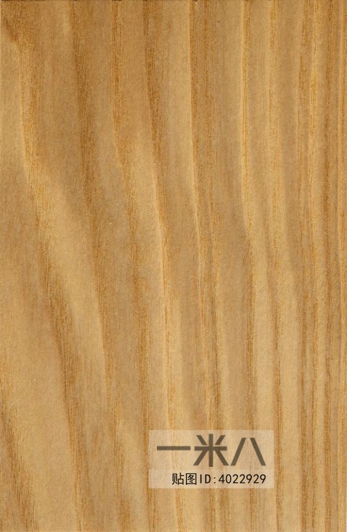 Wood Texture