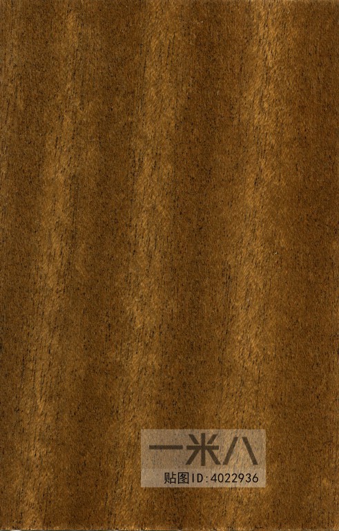 Wood Texture