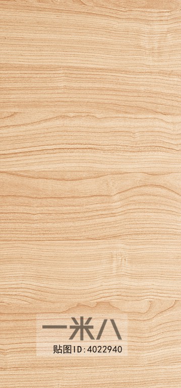 Wood Texture