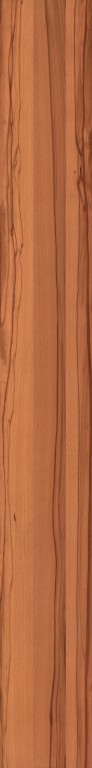 Wood Texture