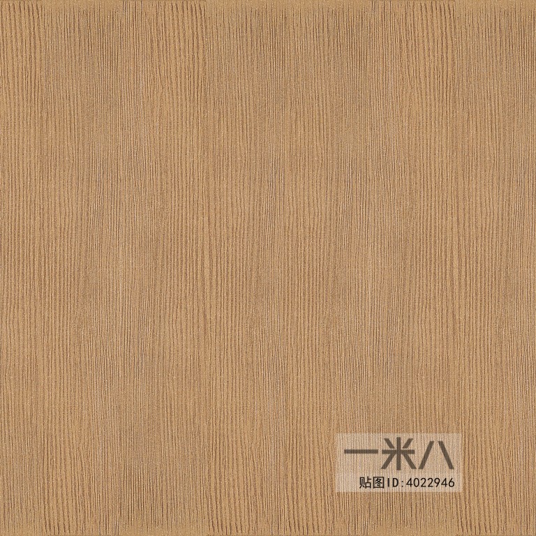 Wood Texture