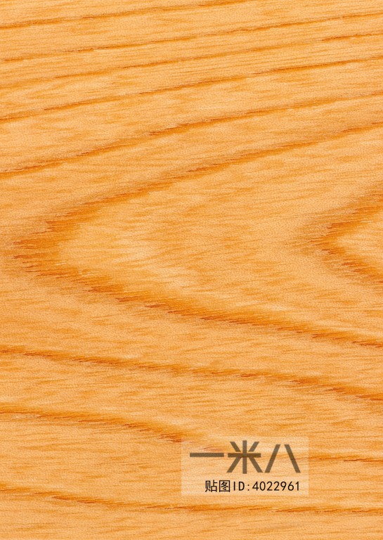 Wood Texture