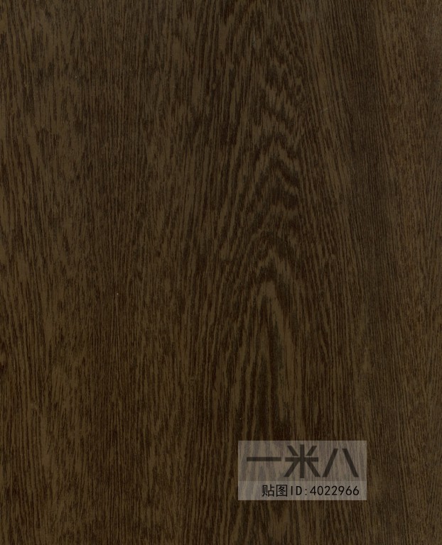 Wood Texture