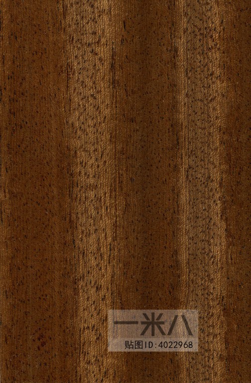 Wood Texture