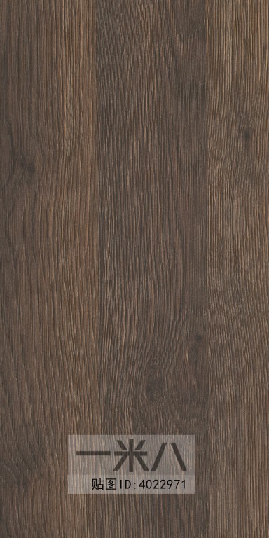 Wood Texture