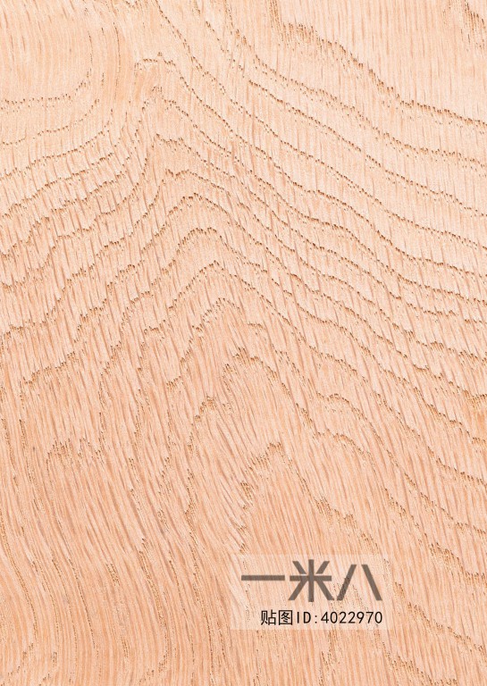 Wood Texture