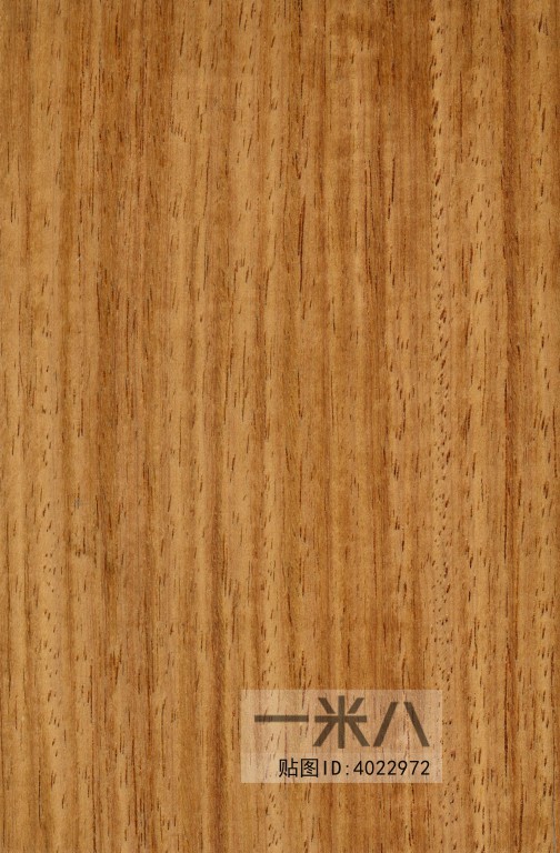 Wood Texture