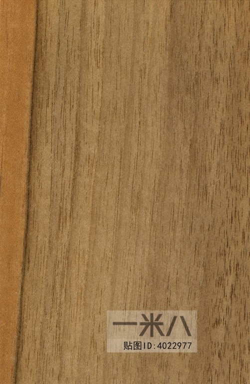 Wood Texture