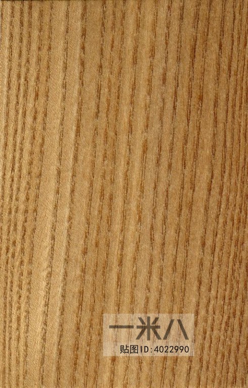 Wood Texture