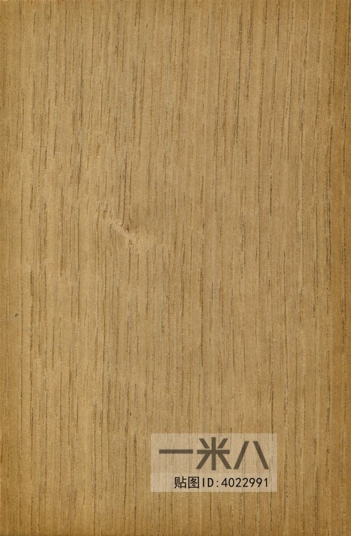 Wood Texture