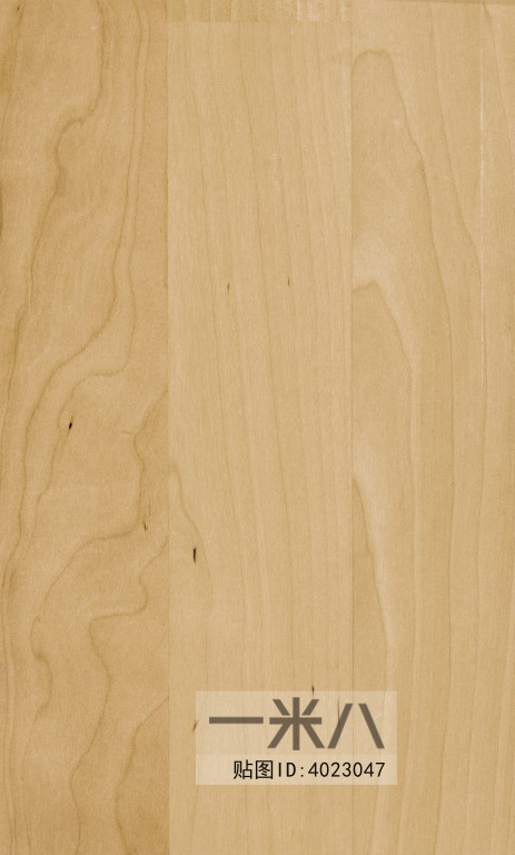 Wood Texture