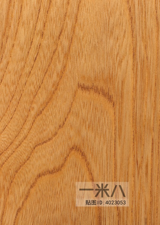 Wood Texture