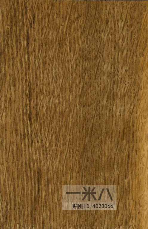 Wood Texture