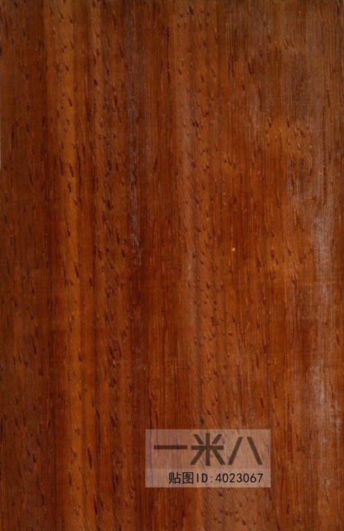 Wood Texture