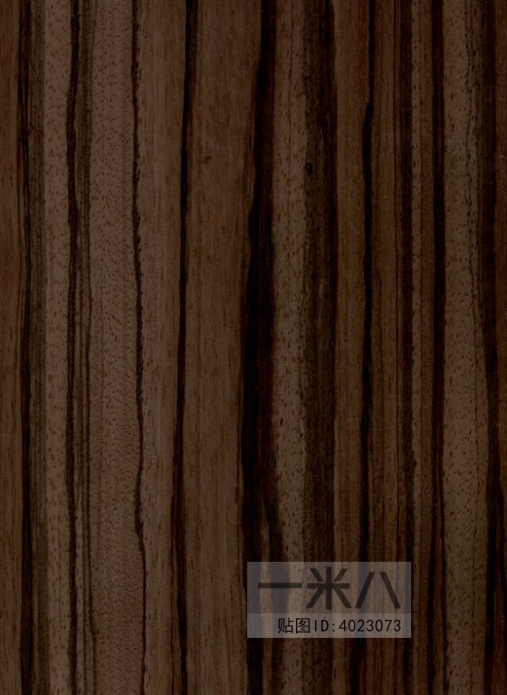 Wood Texture