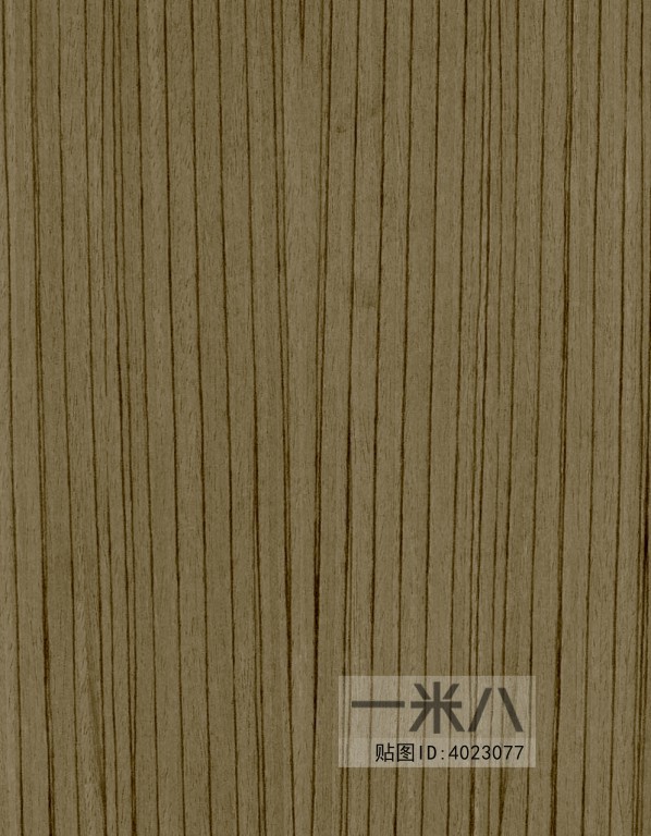 Wood Texture