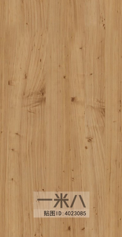 Wood Texture