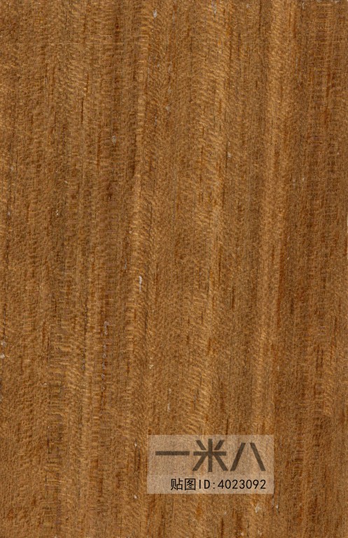 Wood Texture