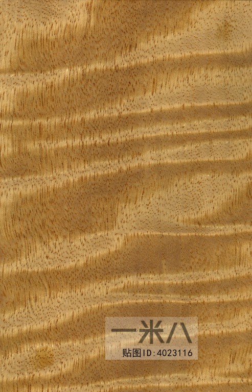 Wood Texture