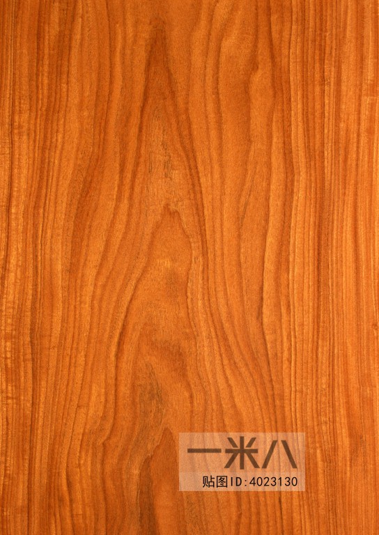 Wood Texture