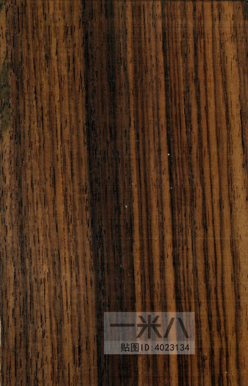 Wood Texture