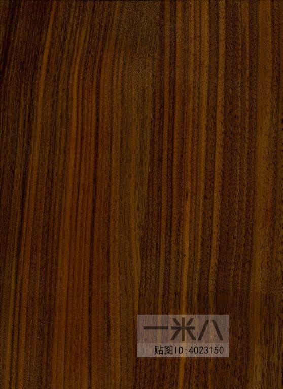 Wood Texture