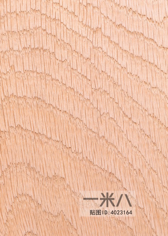 Wood Texture