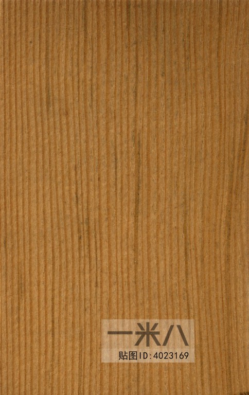 Wood Texture