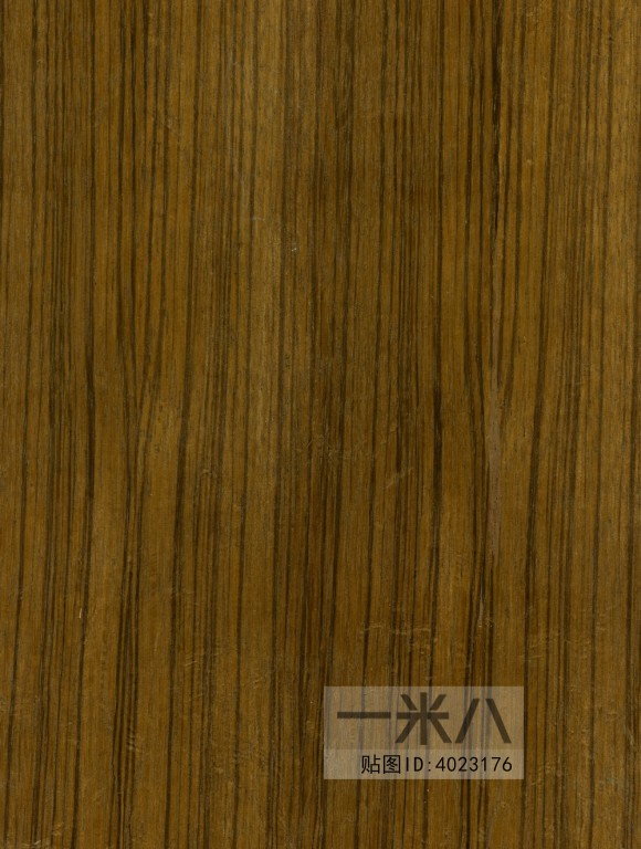 Wood Texture