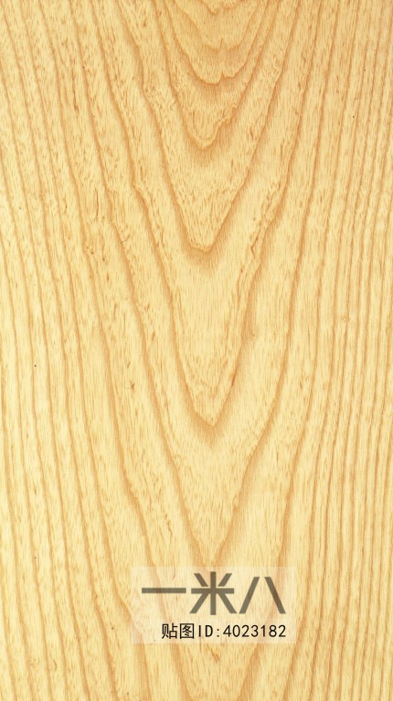 Wood Texture