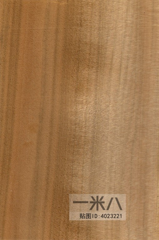 Wood Texture