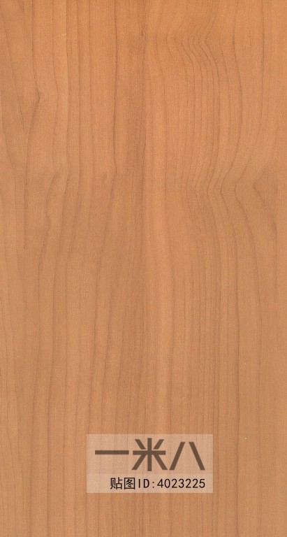 Wood Texture