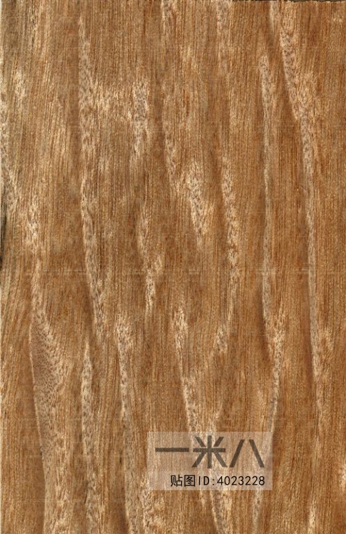 Wood Texture