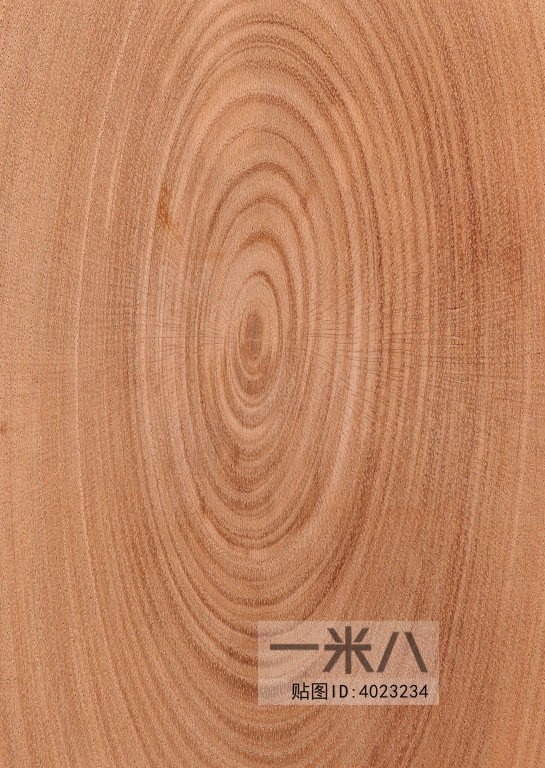 Wood Texture