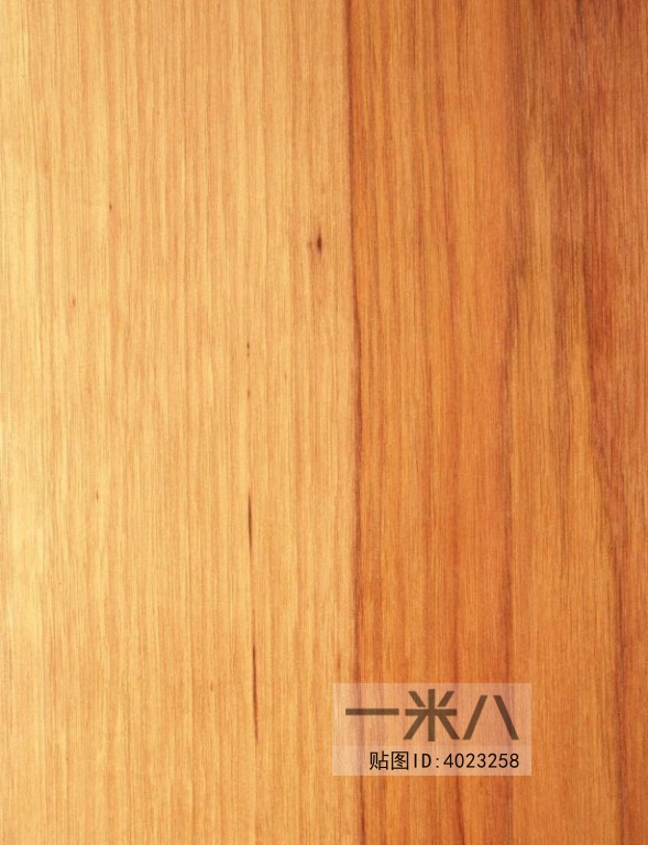 Wood Texture