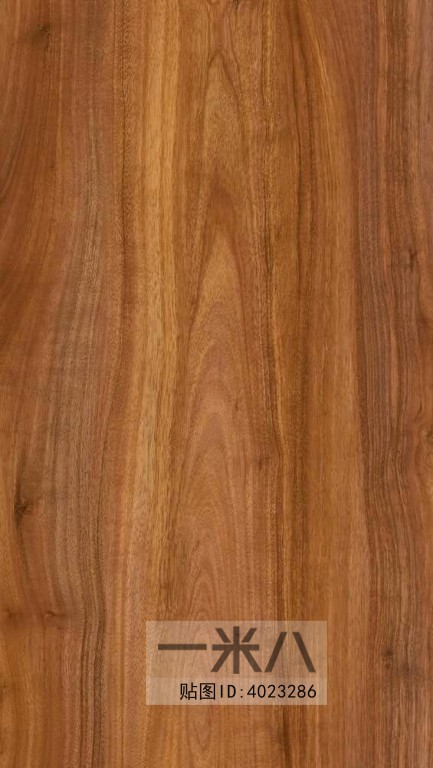 Wood Texture