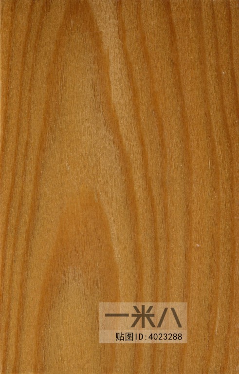 Wood Texture